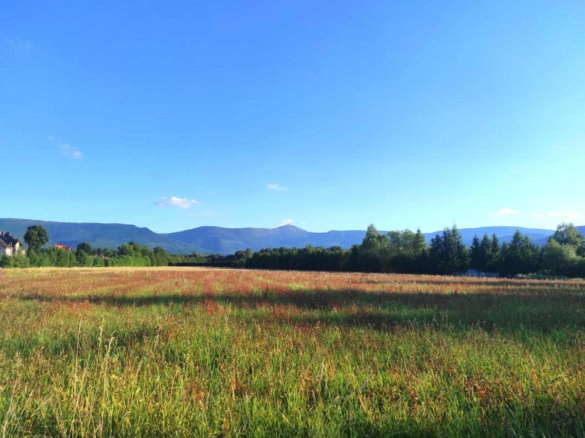 Willa Kolorowa Chata 6 Km Od Karpacza Мислаковице Екстериор снимка