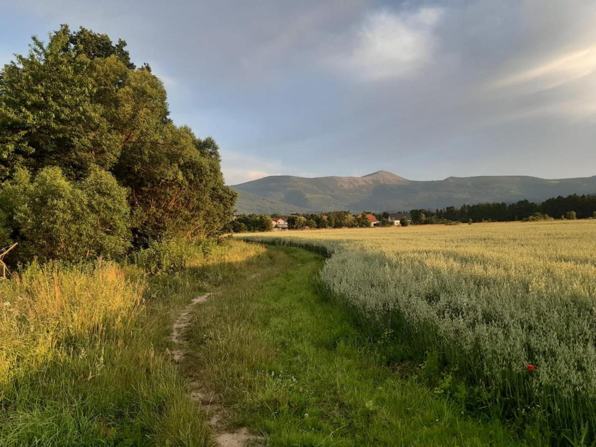 Willa Kolorowa Chata 6 Km Od Karpacza Мислаковице Екстериор снимка
